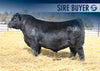 Top Selling Sires