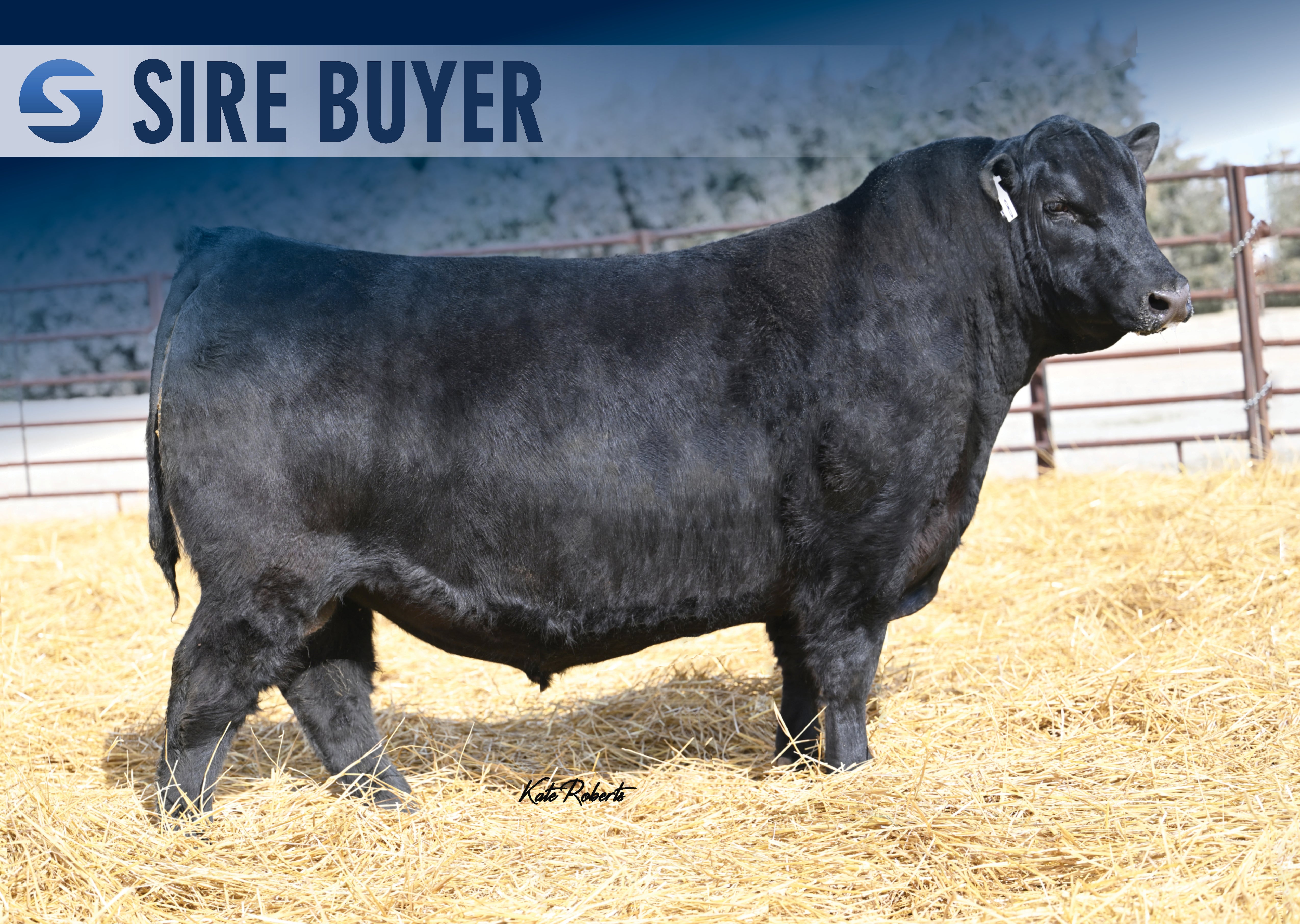 CHERRY CRK CHAMBERED K124