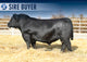 BALDRIDGE DRAG IRON
