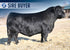 GRYGIEL COW POWER 411