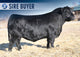 GRYGIEL COW POWER 411