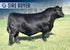LT NORTHLAND 5017