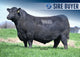 PENZ KINGPIN 4400