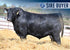 KLA ROCKSTAR 496