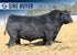 LYLESTER FIREBALL 851