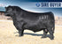 McCUMBER ZODIAC 0037