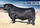 McCUMBER ZODIAC 0037