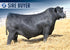 PENZ REAL DEAL 3533