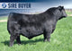 SAV BRAND LEADER 5380