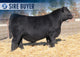 SAV MATERNAL GOLD 4081