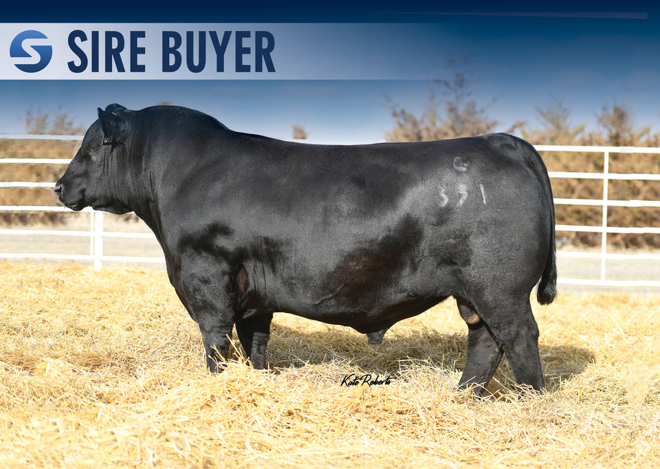 BALDRIDGE BADGER | Sire Buyer Sires